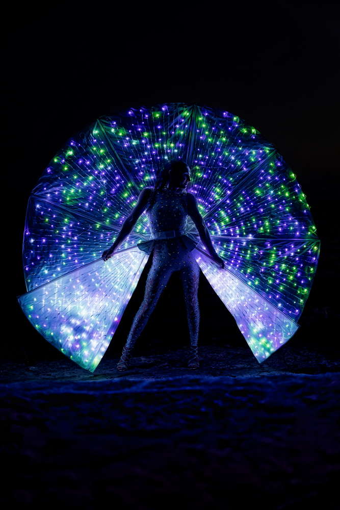 Peacock LED